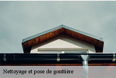 Nettoyage et pose de gouttière  paris-15-75015 AR renovation