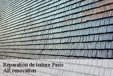 Réparation de toiture  paris-75000 AR renovation