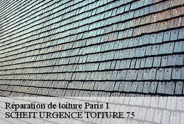 Réparation de toiture  paris-1-75001 SCHEIT URGENCE TOITURE 75