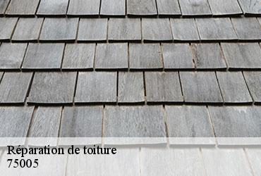 Réparation de toiture  paris-5-75005 AR renovation