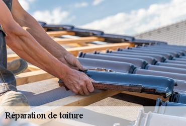 Réparation de toiture  paris-6-75006 AR renovation