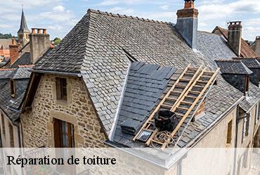 Réparation de toiture  paris-7-75007 AR renovation
