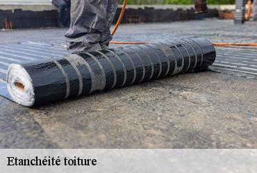 Etanchéité toiture  paris-75000 AR renovation