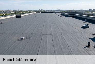 Etanchéité toiture  paris-16-75016 AR renovation