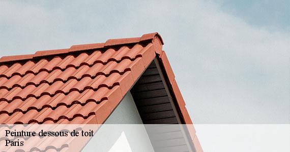 Peinture dessous de toit 75 Paris  Scheit couverture 75