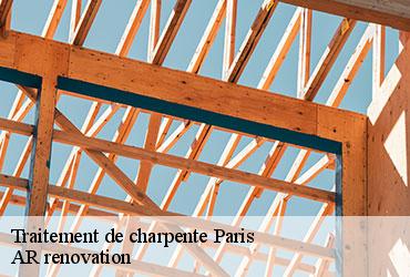 Traitement de charpente 75 Paris  AR renovation