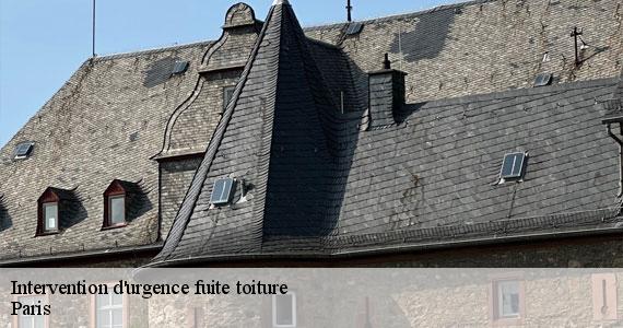 Intervention d'urgence fuite toiture  75 Paris  Scheit couverture 75