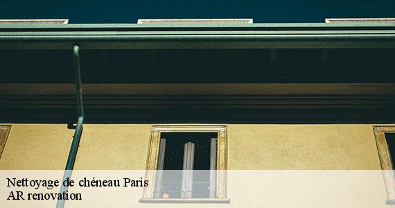 Nettoyage de chéneau 75 Paris  AR renovation