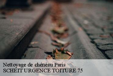 Nettoyage de chéneau 75 Paris  SCHEIT URGENCE TOITURE 75