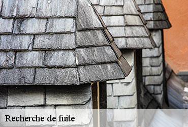 Recherche de fuite 75 Paris  AR renovation