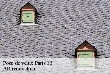 Pose de velux  paris-13-75013 AR renovation