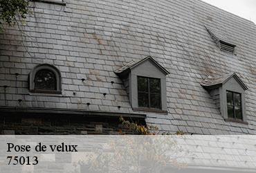 Pose de velux  paris-13-75013 Scheit couverture 75
