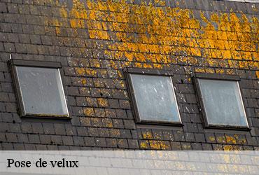 Pose de velux  paris-13-75013 Scheit couverture 75