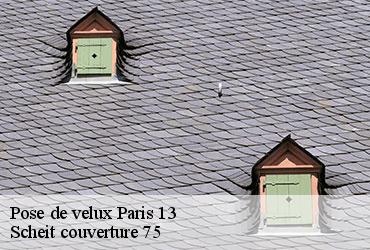 Pose de velux  paris-13-75013 Scheit couverture 75