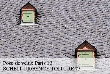 Pose de velux  paris-13-75013 SCHEIT URGENCE TOITURE 75