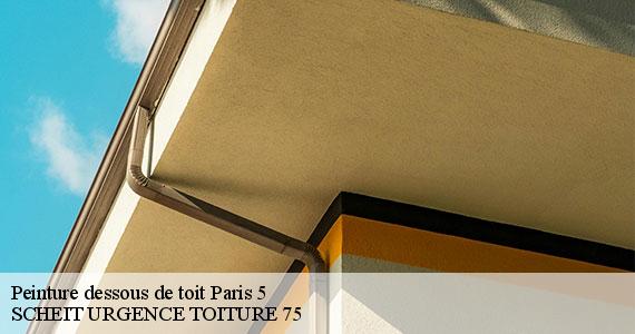 Peinture dessous de toit  paris-5-75005 SCHEIT URGENCE TOITURE 75