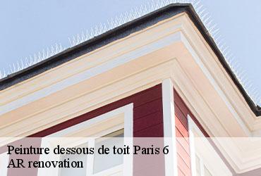 Peinture dessous de toit  paris-6-75006 AR renovation