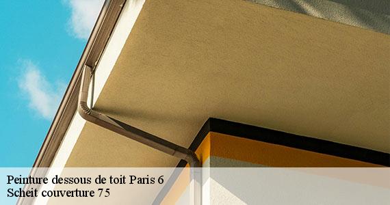 Peinture dessous de toit  paris-6-75006 Scheit couverture 75