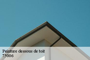 Peinture dessous de toit  paris-6-75006 Scheit couverture 75