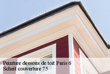 Peinture dessous de toit  paris-6-75006 Scheit couverture 75