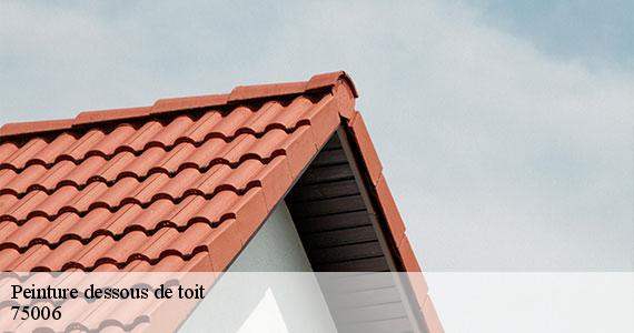 Peinture dessous de toit  paris-6-75006 Scheit couverture 75