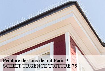 Peinture dessous de toit  paris-9-75009 SCHEIT URGENCE TOITURE 75