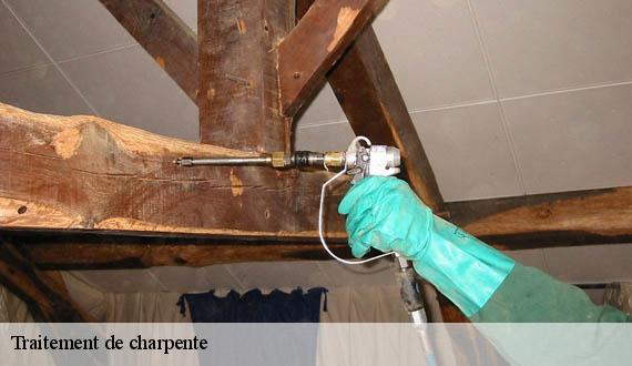 Traitement de charpente  paris-15-75015 AR renovation