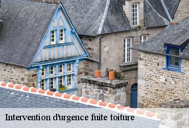 Intervention d'urgence fuite toiture   paris-4-75004 AR renovation