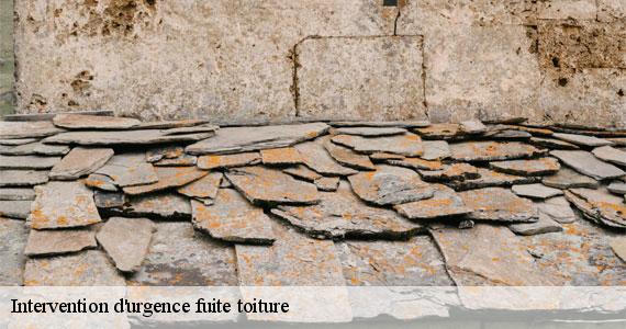 Intervention d'urgence fuite toiture   paris-13-75013 Scheit couverture 75