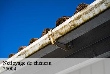 Nettoyage de chéneau  paris-4-75004 AR renovation