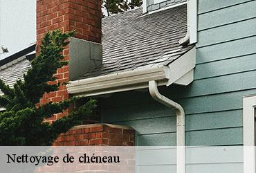Nettoyage de chéneau  paris-4-75004 AR renovation