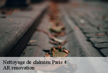 Nettoyage de chéneau  paris-4-75004 AR renovation