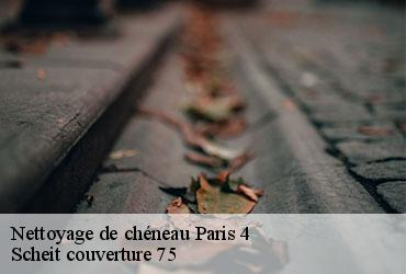 Nettoyage de chéneau  paris-4-75004 Scheit couverture 75