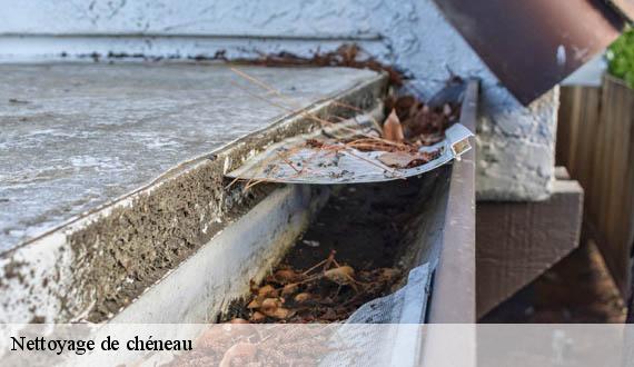 Nettoyage de chéneau  paris-11-75011 AR renovation