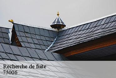 Recherche de fuite  paris-6-75006 AR renovation