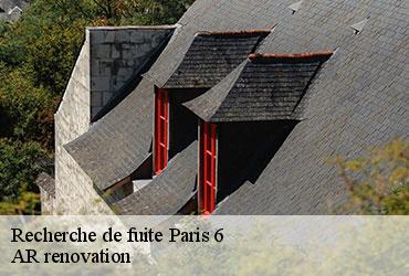 Recherche de fuite  paris-6-75006 AR renovation